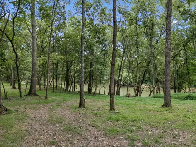a view of a backyard with trees