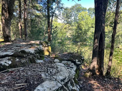 $1,750,000 | 3680 Clark Road, Lewisburg, TN 37091