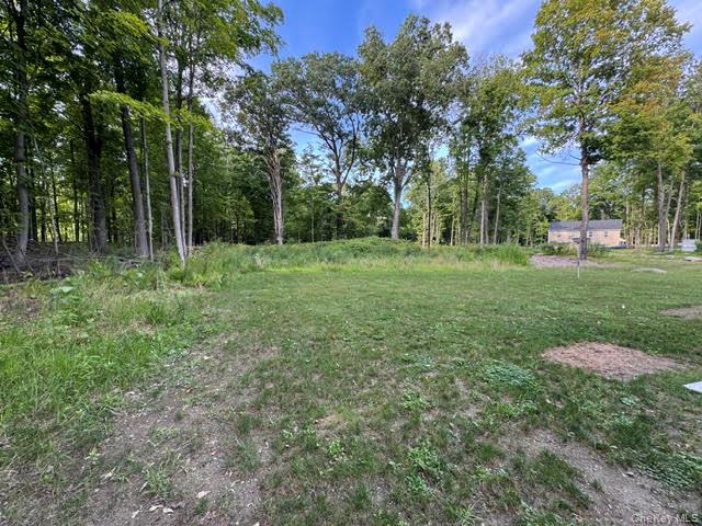 11 Alexandra Matthews Road, Unit A Wallkill, NY 12589 - Photo 39 of 43 Gallery Image 39