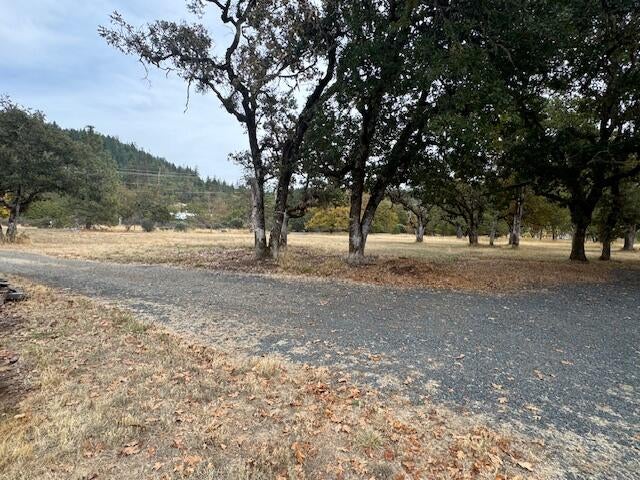 1580 Laurel Road Cave Junction, OR 97523 - Photo 5 of 26 IMG_0489