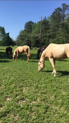 a garden view with a seating space