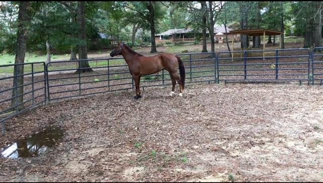6601 Psalmond Road Midland, GA 31820 - Photo 6 of 8