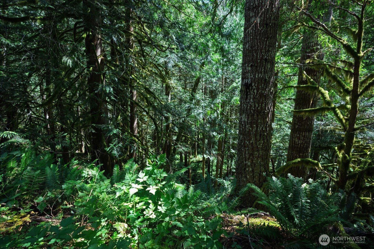 0 Galena City Gold Bar, WA 98251 - Photo 3 of 9