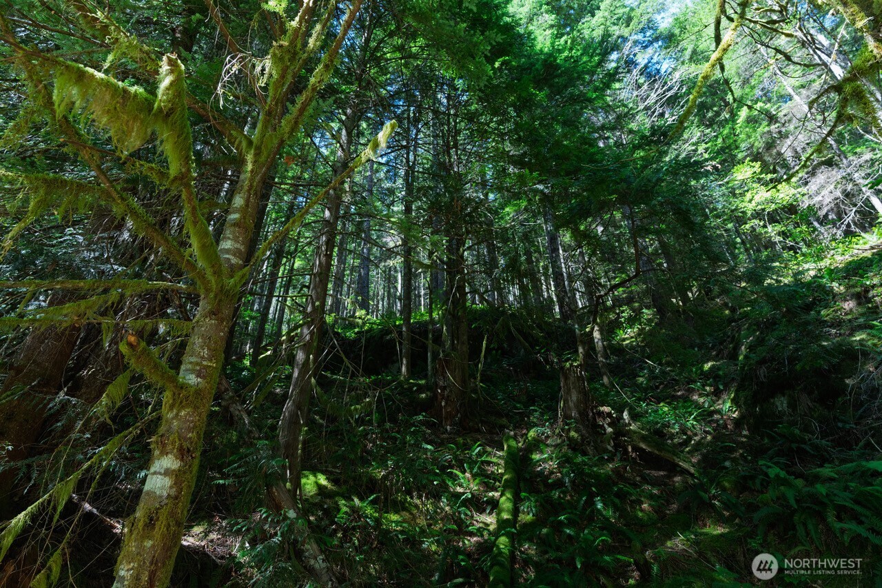 0 Galena City Gold Bar, WA 98251 - Photo 4 of 9