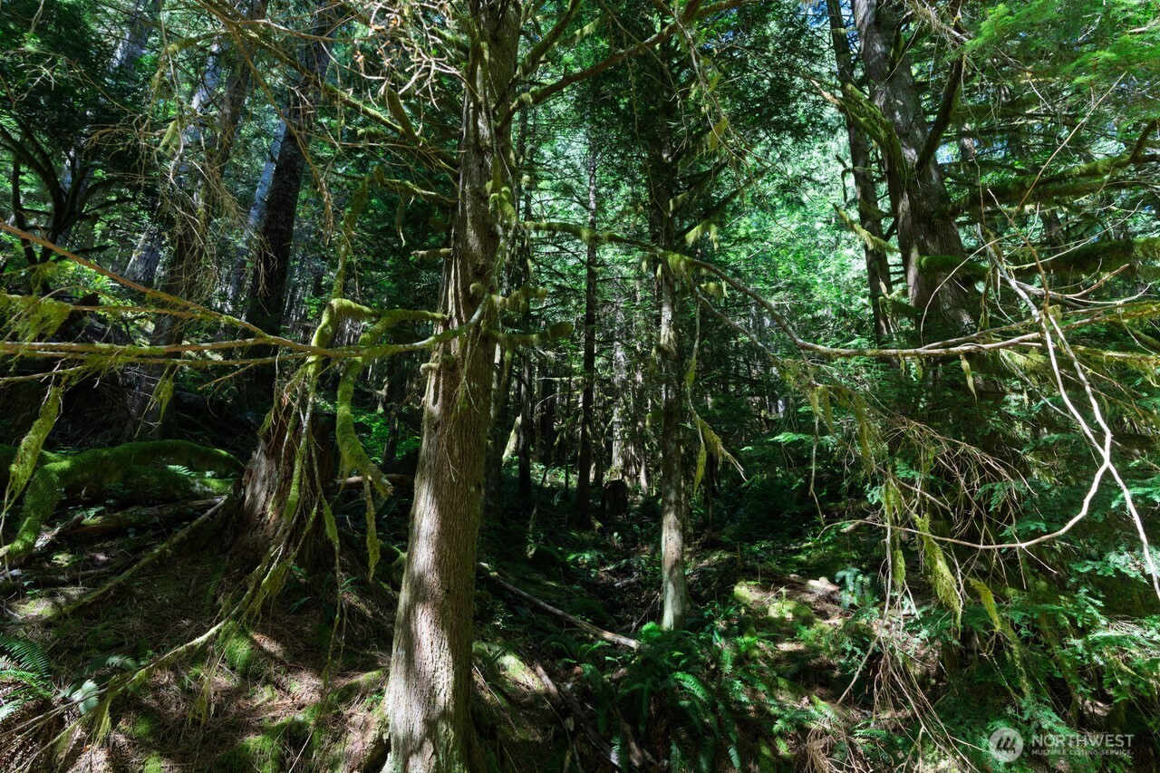 0 Galena City Gold Bar, WA 98251 - Photo 6 of 9