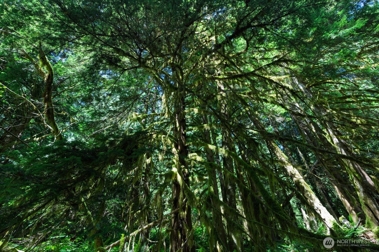 0 Galena City Gold Bar, WA 98251 - Photo 7 of 9