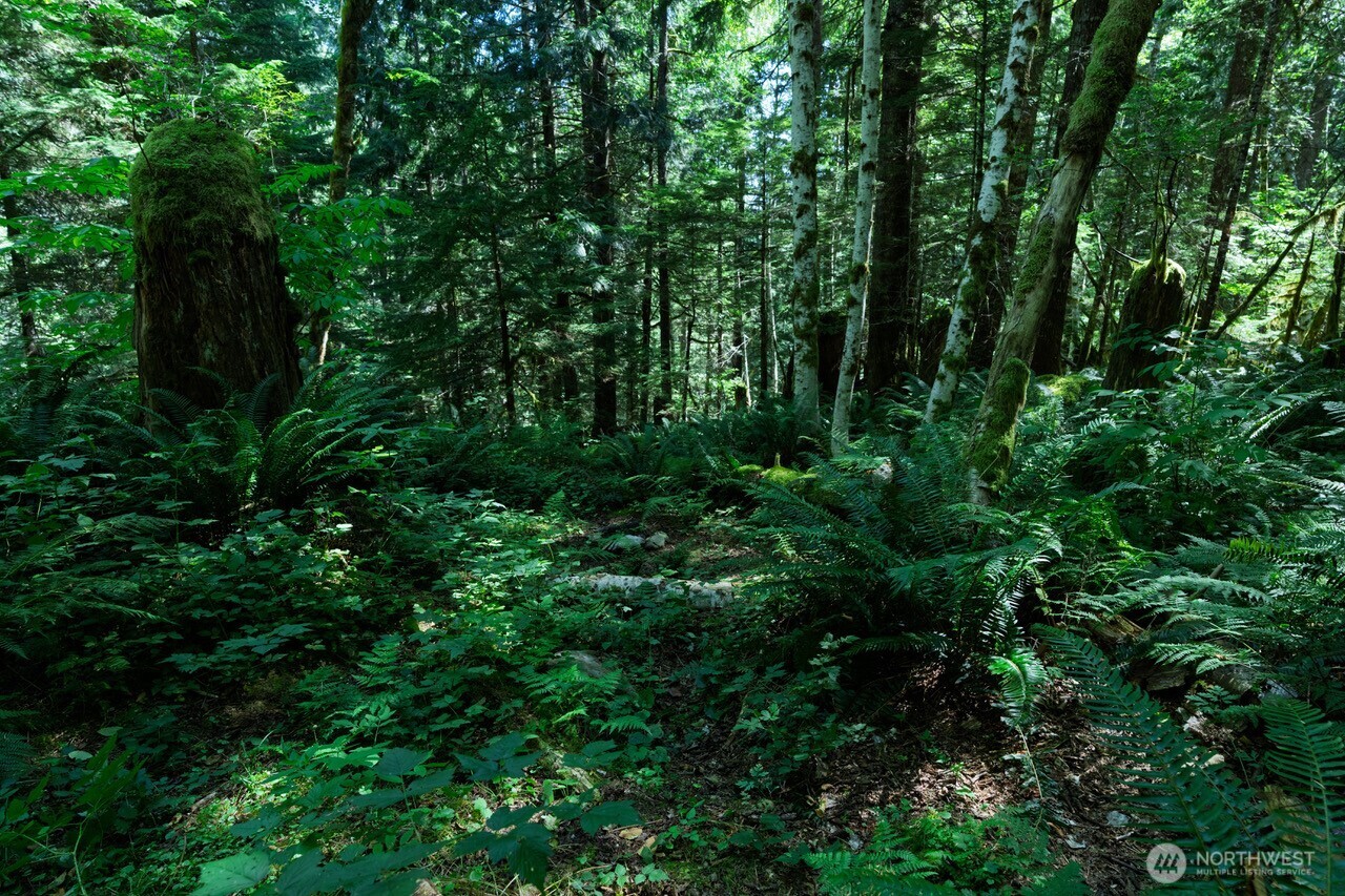 0 Galena City Gold Bar, WA 98251 - Photo 8 of 9