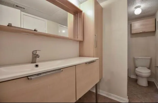 a bathroom with a sink a toilet and vanity