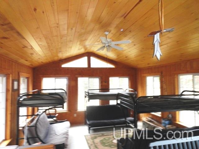 24494 L P Walsh Road White Pine, MI 49971 - Photo 7 of 28