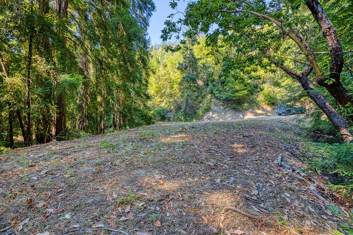 14155 Middle Ellen Road Los Gatos, CA 95033 - Photo 59 of 67 Gallery Image 59