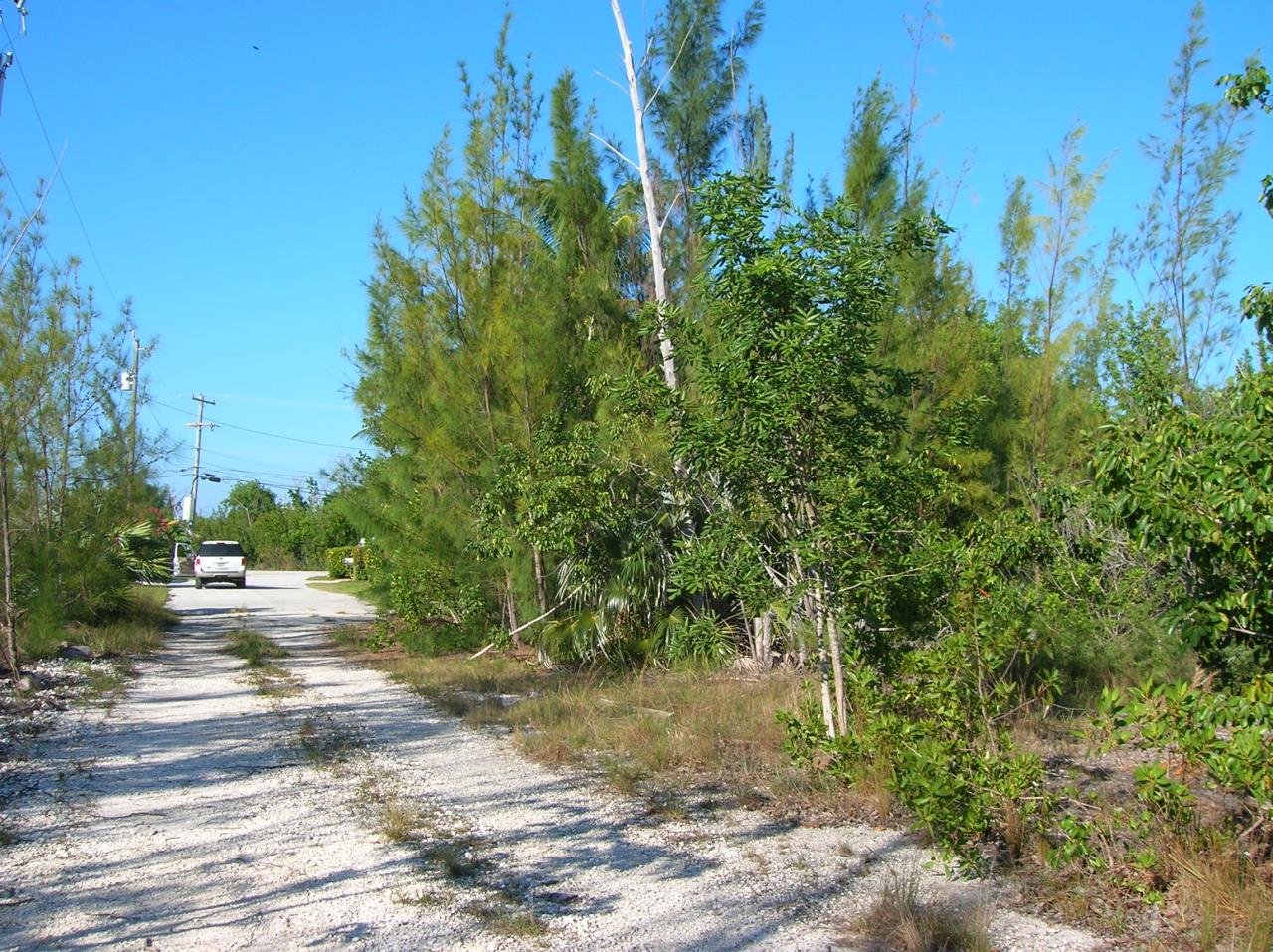 3 Horvath Road Big Pine Key, FL 33043 - Photo 2 of 6 Horvath Road Lot