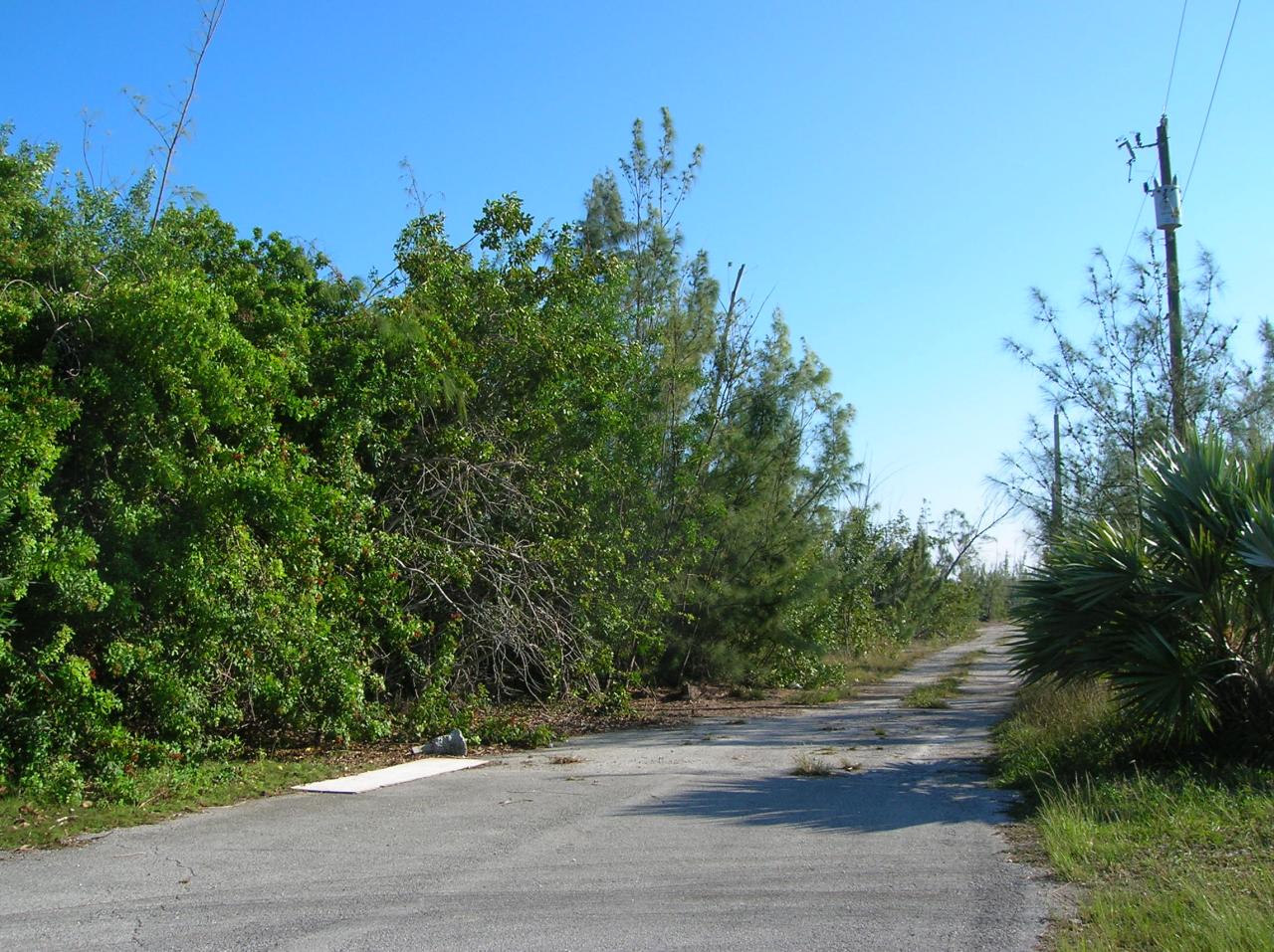 3 Horvath Road Big Pine Key, FL 33043 - Photo 3 of 6 Horvath Road Lot