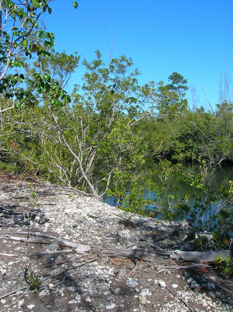 3 Horvath Road Big Pine Key, FL 33043 - Photo 6 of 6 Lot