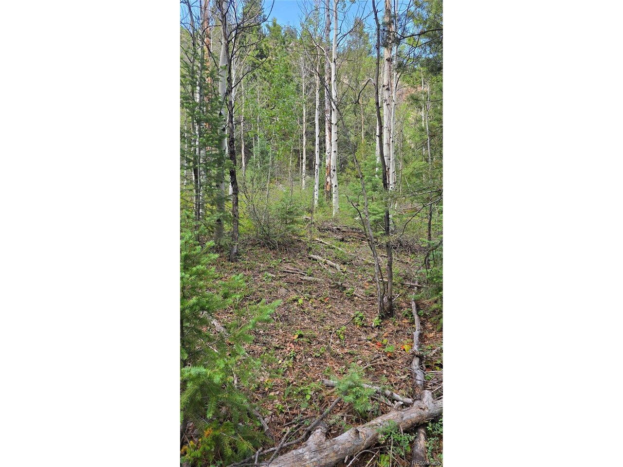6474 Malcolm Road San Luis, CO 81152 - Photo 22 of 30