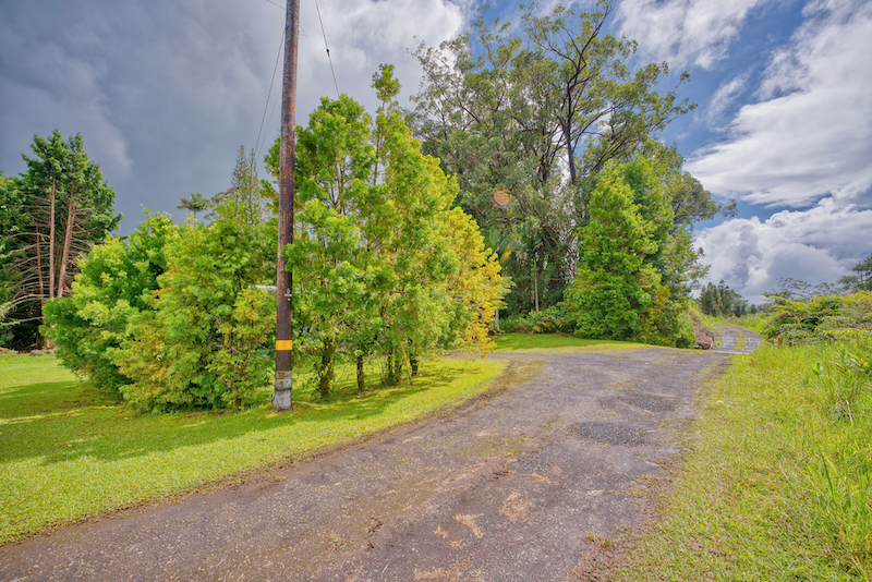 73 Canney Road Mountain View, HI 96771 - Photo 27 of 30 a view of a yard with plants and large trees