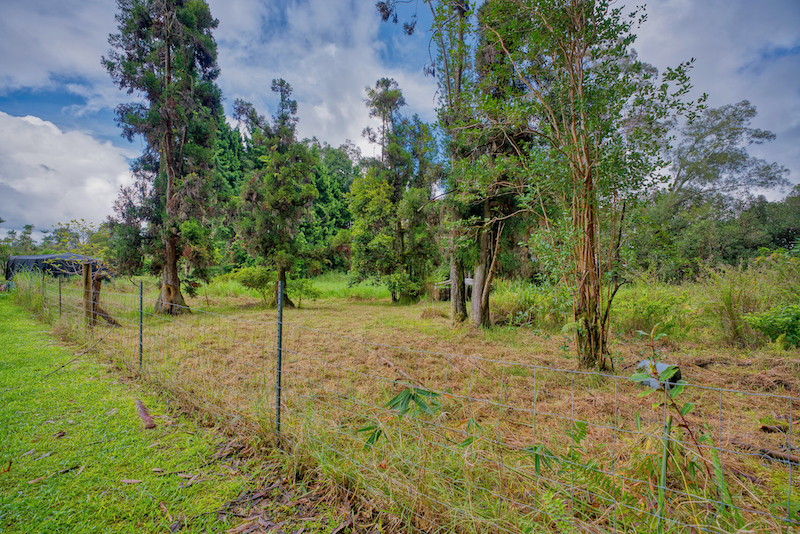 73 Canney Road Mountain View, HI 96771 - Photo 4 of 30 a view of a tree in a yard