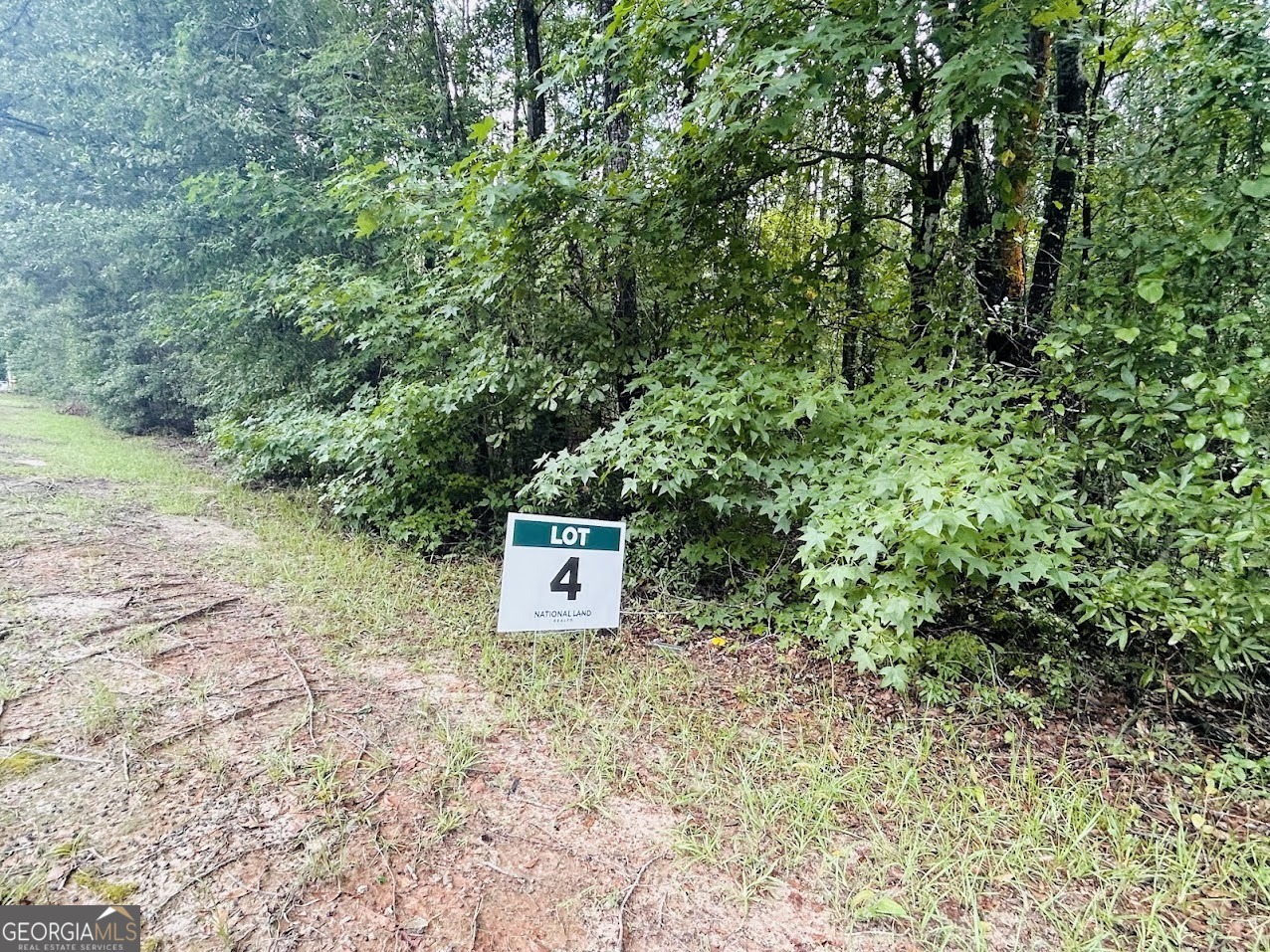 a view of a outdoor space with a tree