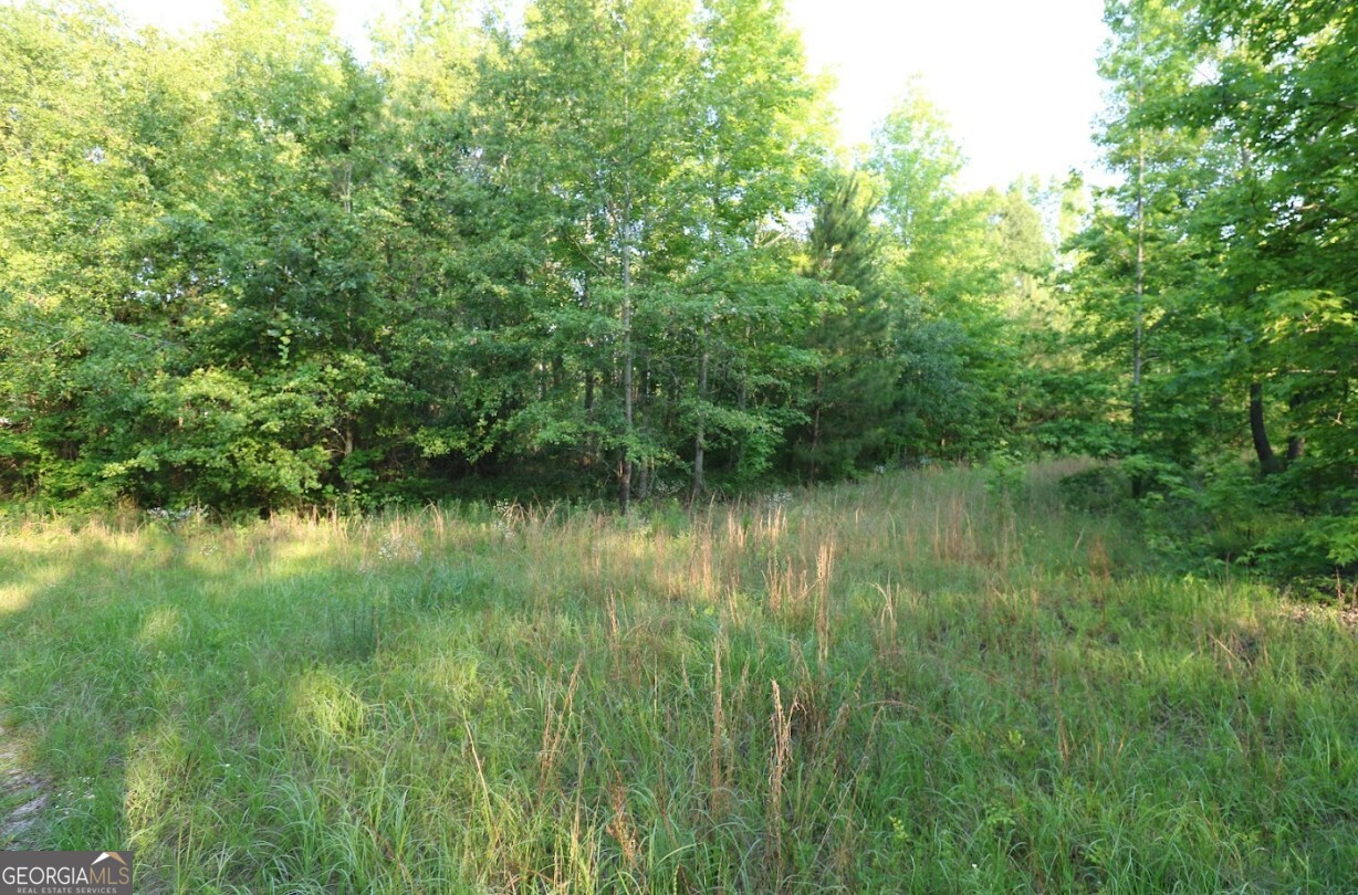 0 Kings Mill Road, Unit 4 Wrens, GA 30833 - Photo 13 of 23 a view of a lake view