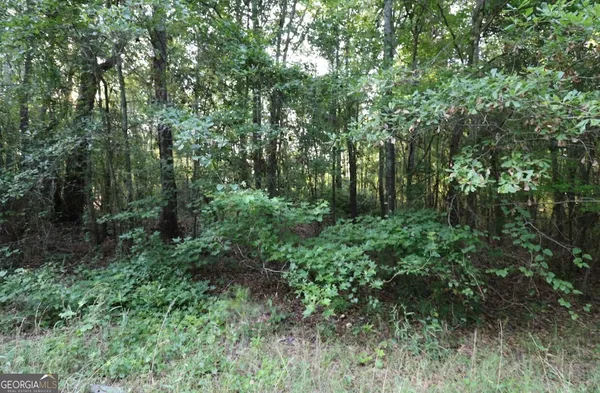 a view of a lush green forest with lots of trees