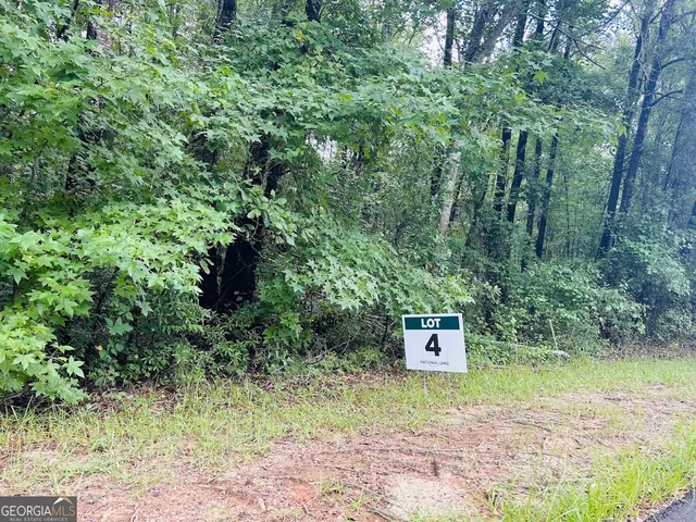 a view of a back yard