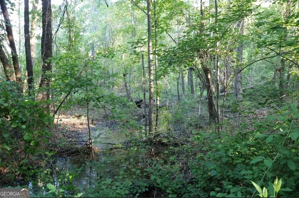 a view of a forest with trees