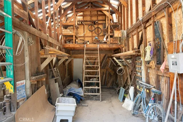 a view of a forest with a tree