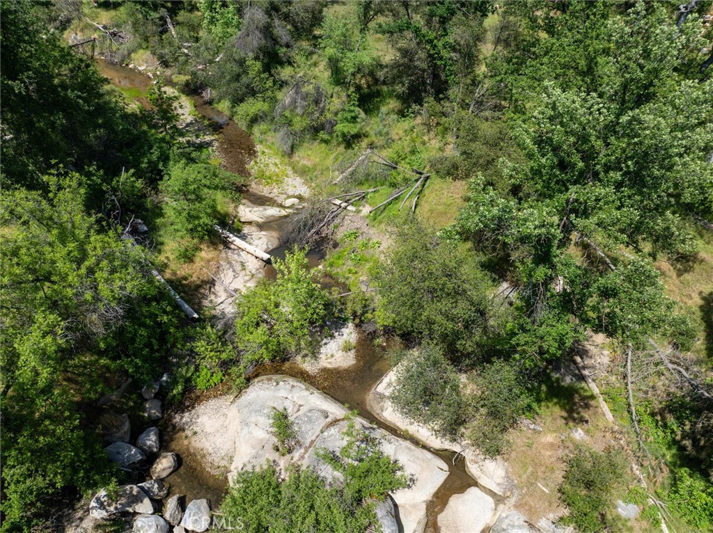 2669 Triangle Road Mariposa, CA 95338 - Photo 55 of 58 a view of a forest with a tree