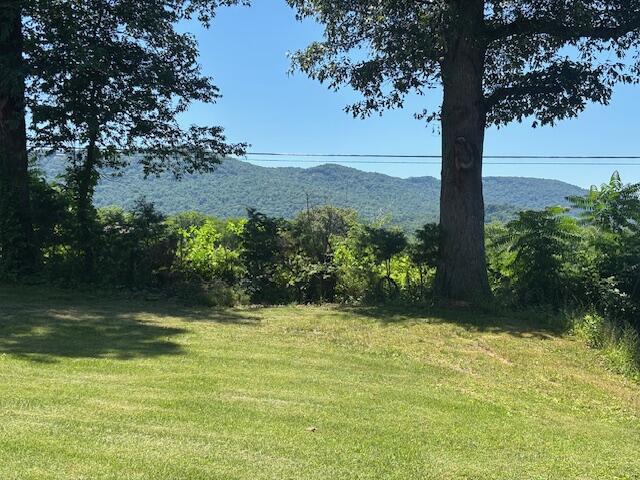 194 Patton Road Pikeville, TN 37367 - Photo 3 of 34 IMG_0590