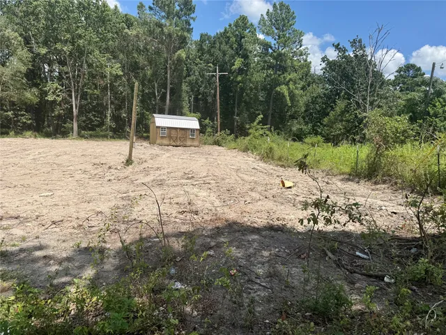 a view of a tree with a bench