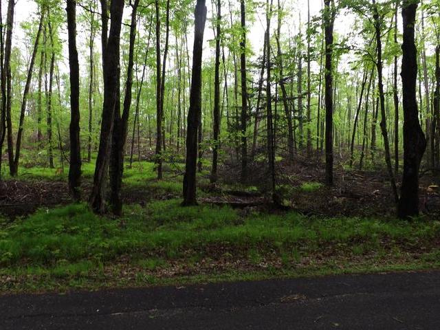 On East Anvil Lake Road, Unit LOT 6 Eagle River, WI 54521 - Photo 3 of 4 Gallery Image 3