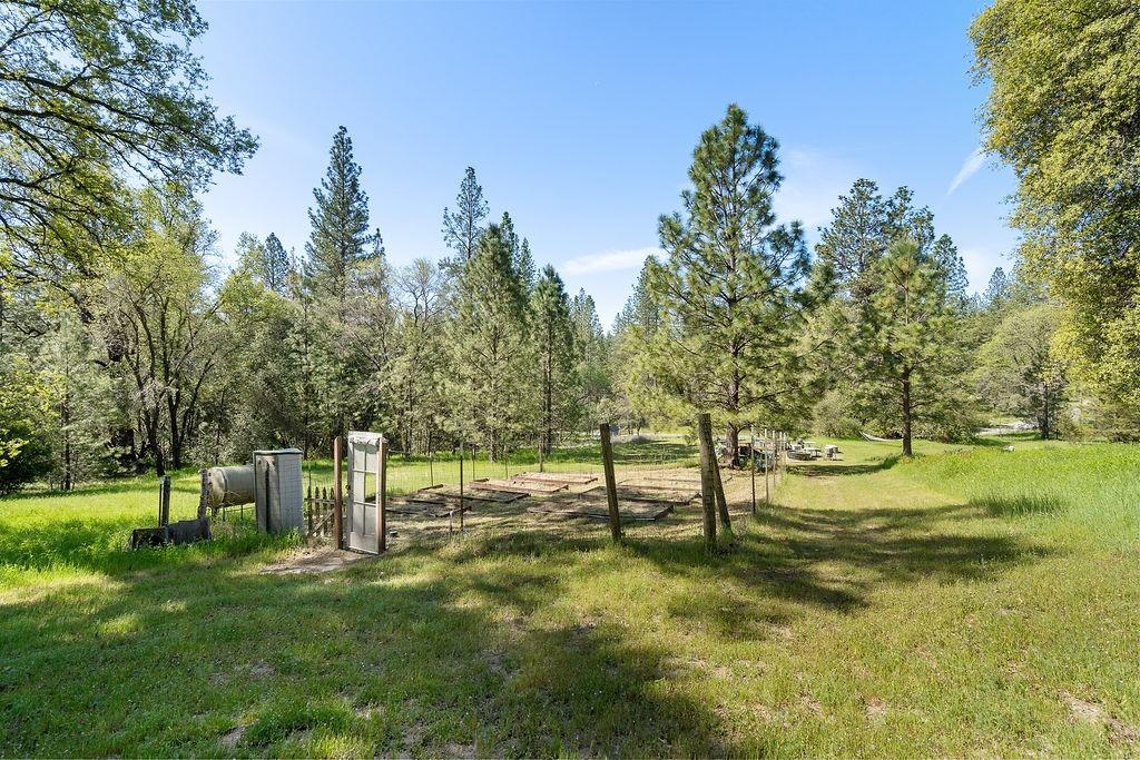 2940 Horseshoe Bend Road Somerset, CA 95684 - Photo 45 of 59