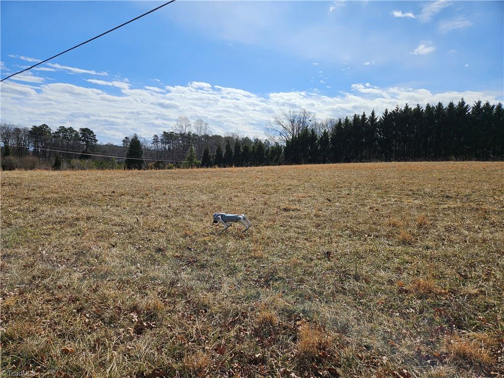 0 Volunteer Road, Unit 2 Pinnacle, NC 27043 - Photo 2 of 8