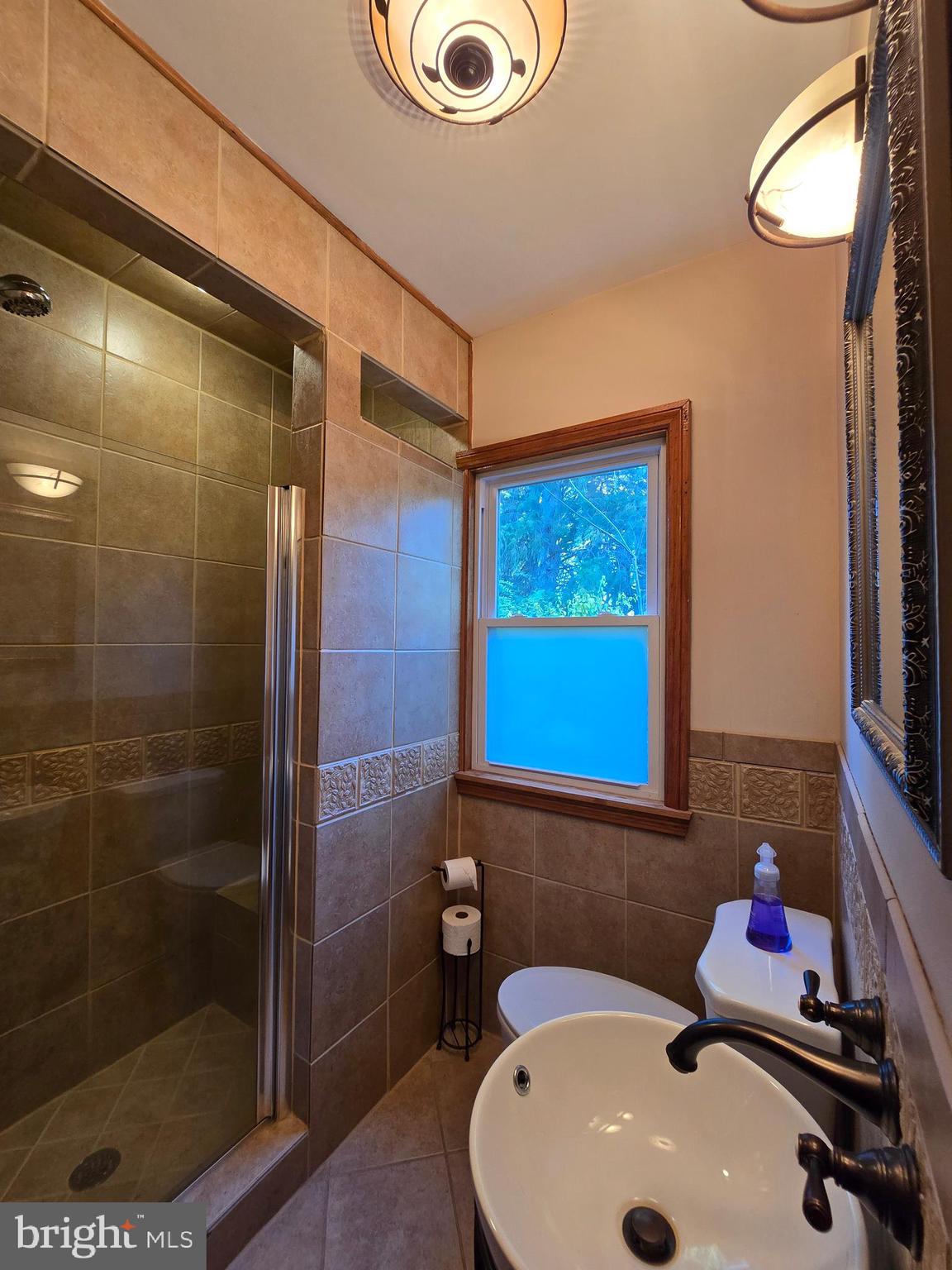 1945 Valley Road Berkeley Springs, WV 25411 - Photo 25 of 60 Main level bathroom with walk-in shower