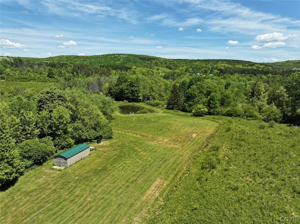 North Branch Road Friendship, NY 14739 - Photo 7 of 27