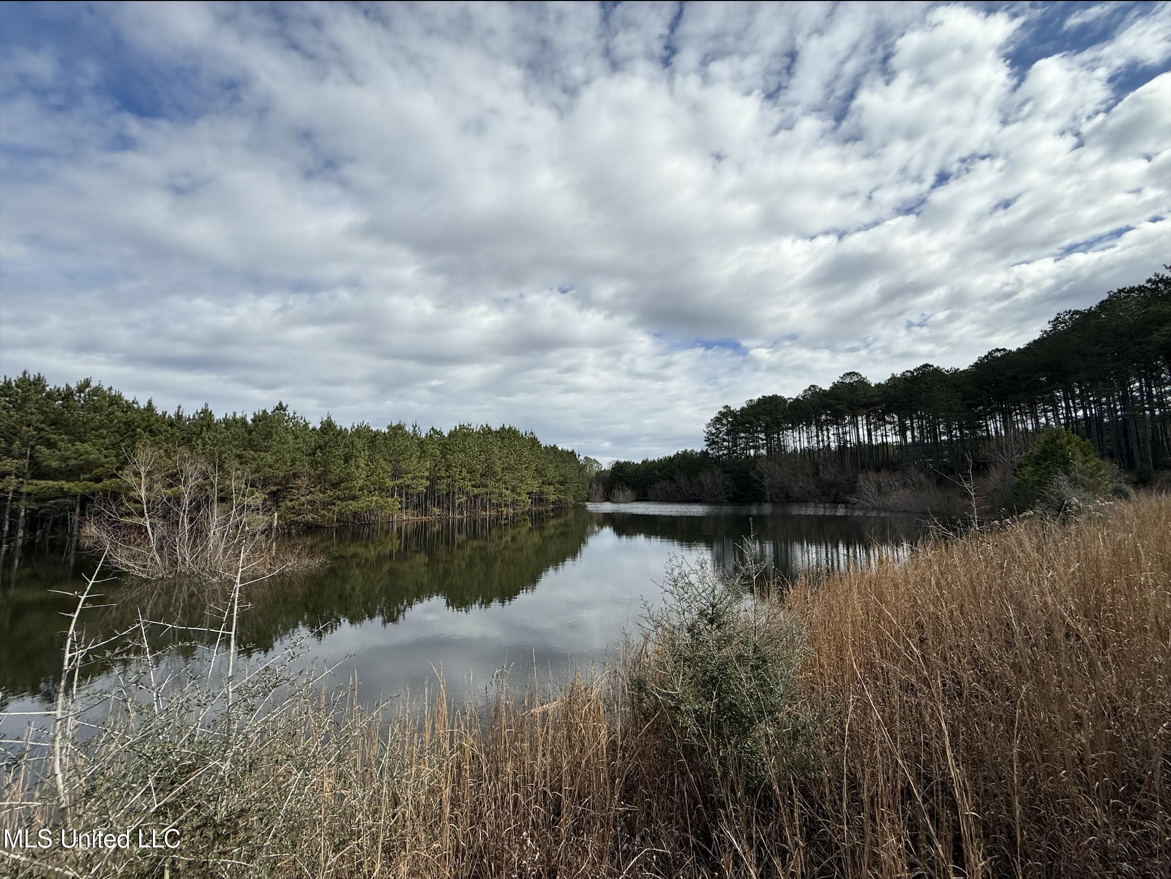 Dyess Road Carson, MS 39427 - Photo 1 of 35 155 Jefferson Davis