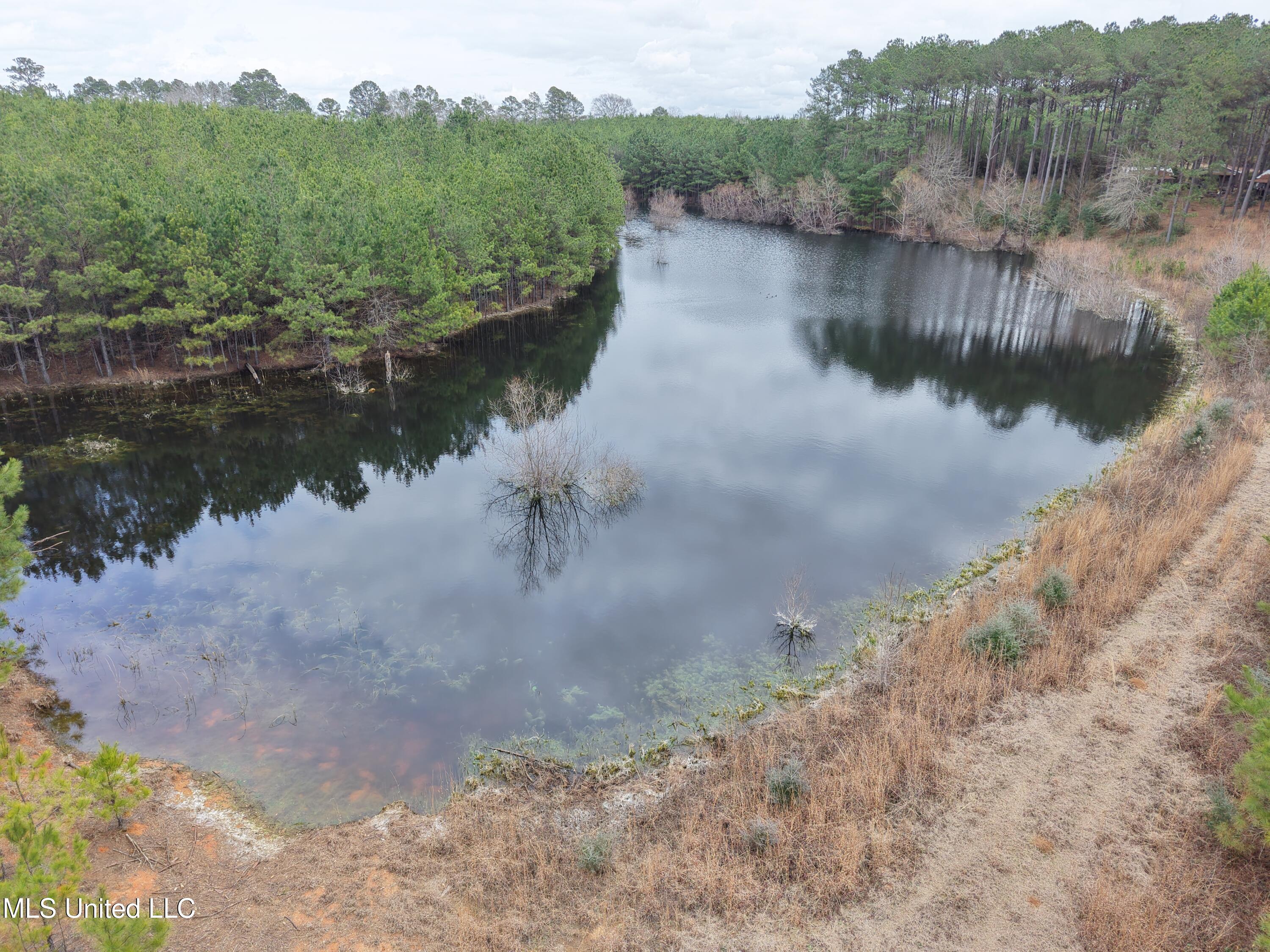 Dyess Road Carson, MS 39427 - Photo 11 of 35 dji_fly_20260218_115718_0077_17714518616