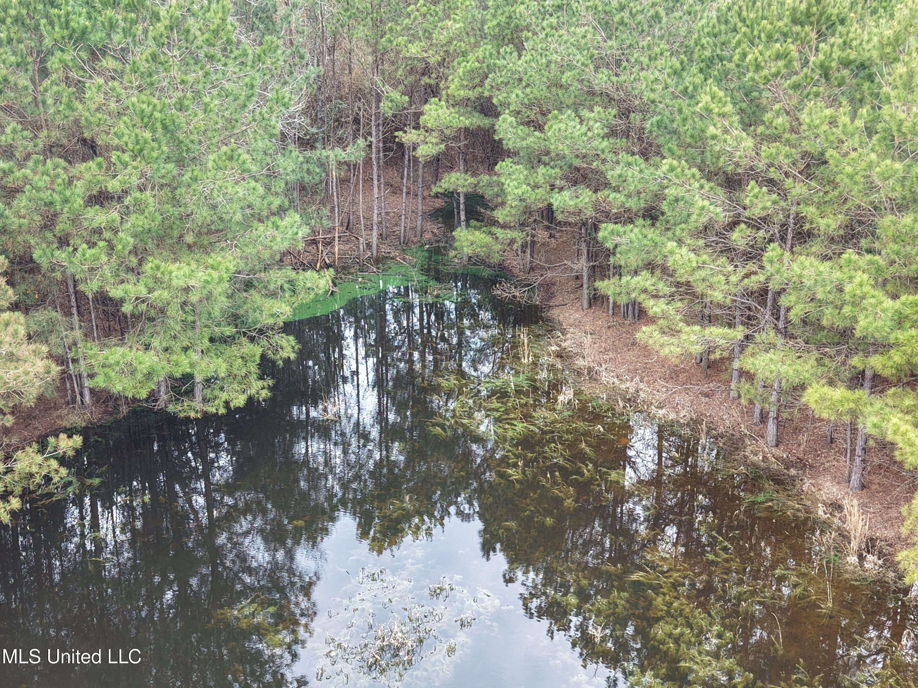 Dyess Road Carson, MS 39427 - Photo 12 of 35 dji_fly_20260218_115754_0078_17714518575