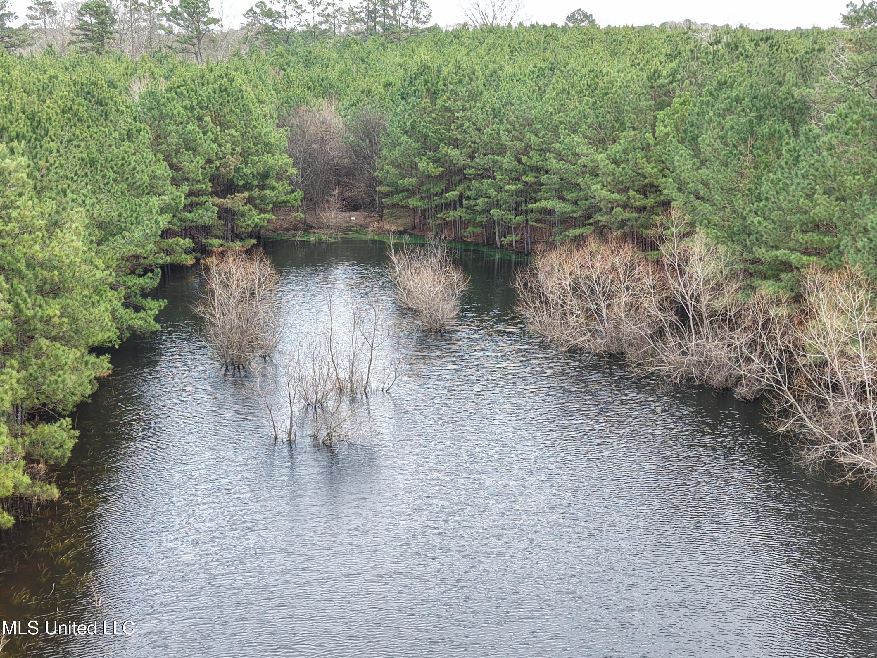 Dyess Road Carson, MS 39427 - Photo 13 of 35 dji_fly_20260218_115818_0079_17714518542