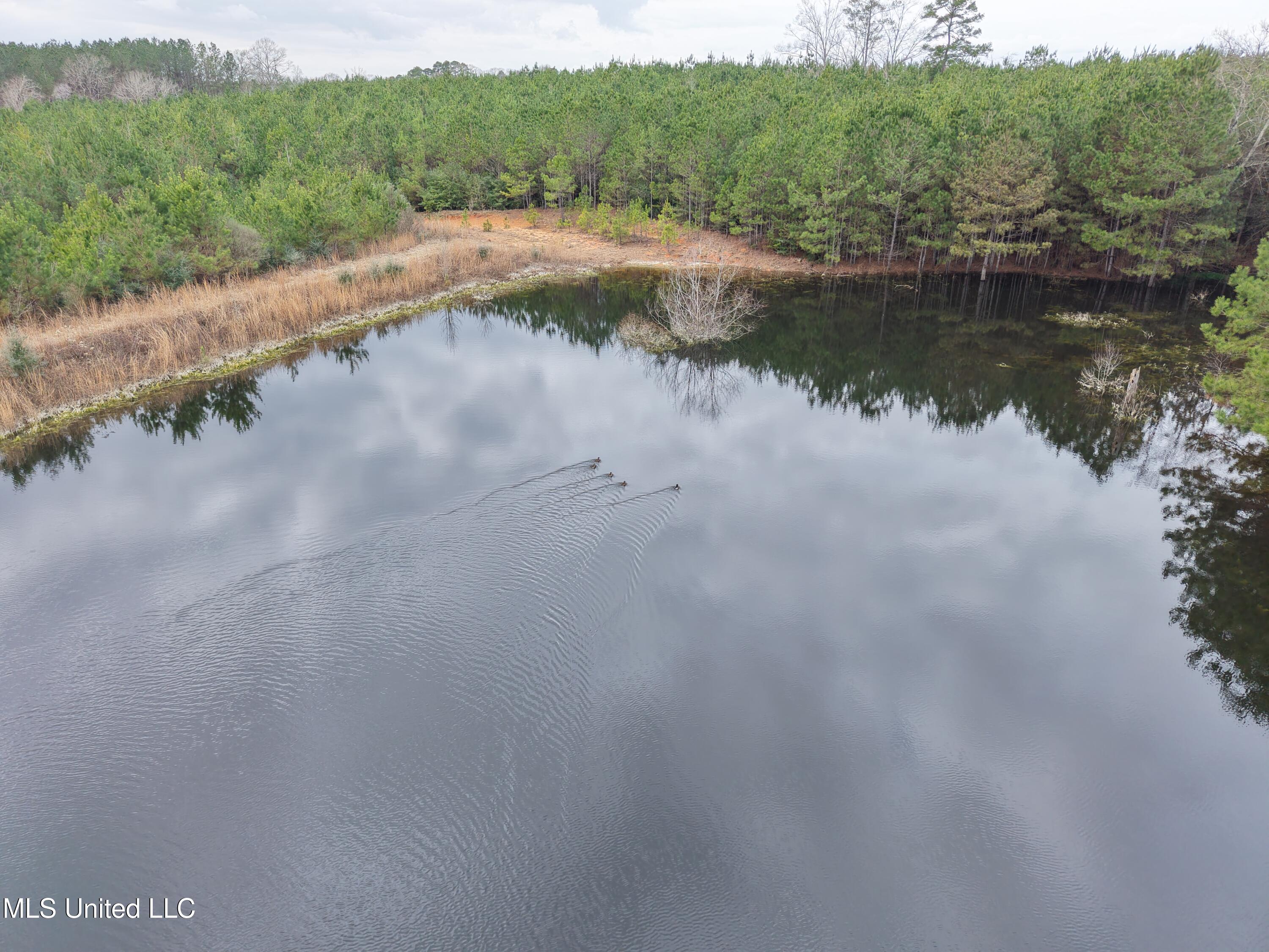 Dyess Road Carson, MS 39427 - Photo 16 of 35 dji_fly_20260218_115946_0082_17714518492