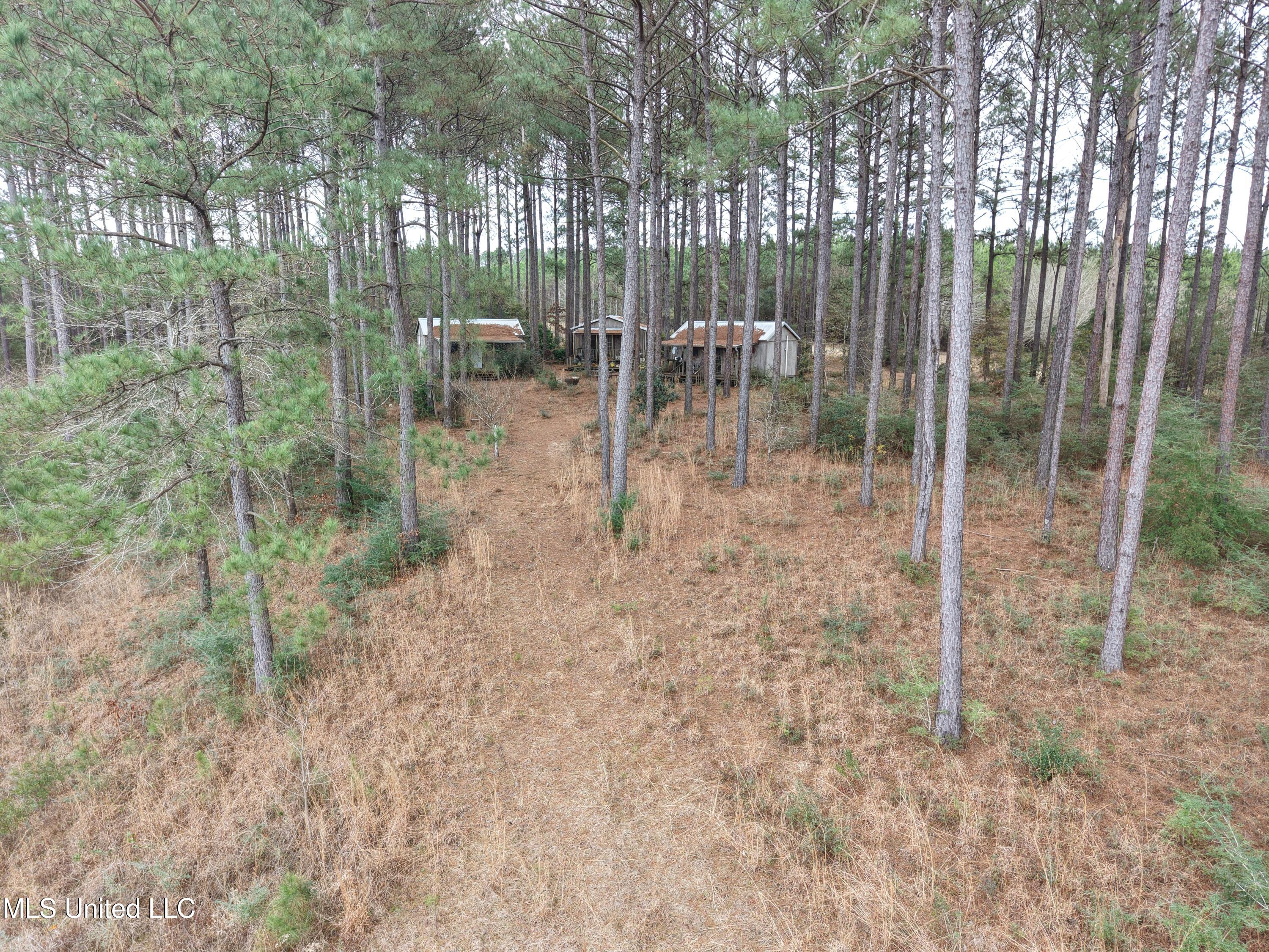 Dyess Road Carson, MS 39427 - Photo 18 of 35 dji_fly_20260218_120048_0084_17714518458