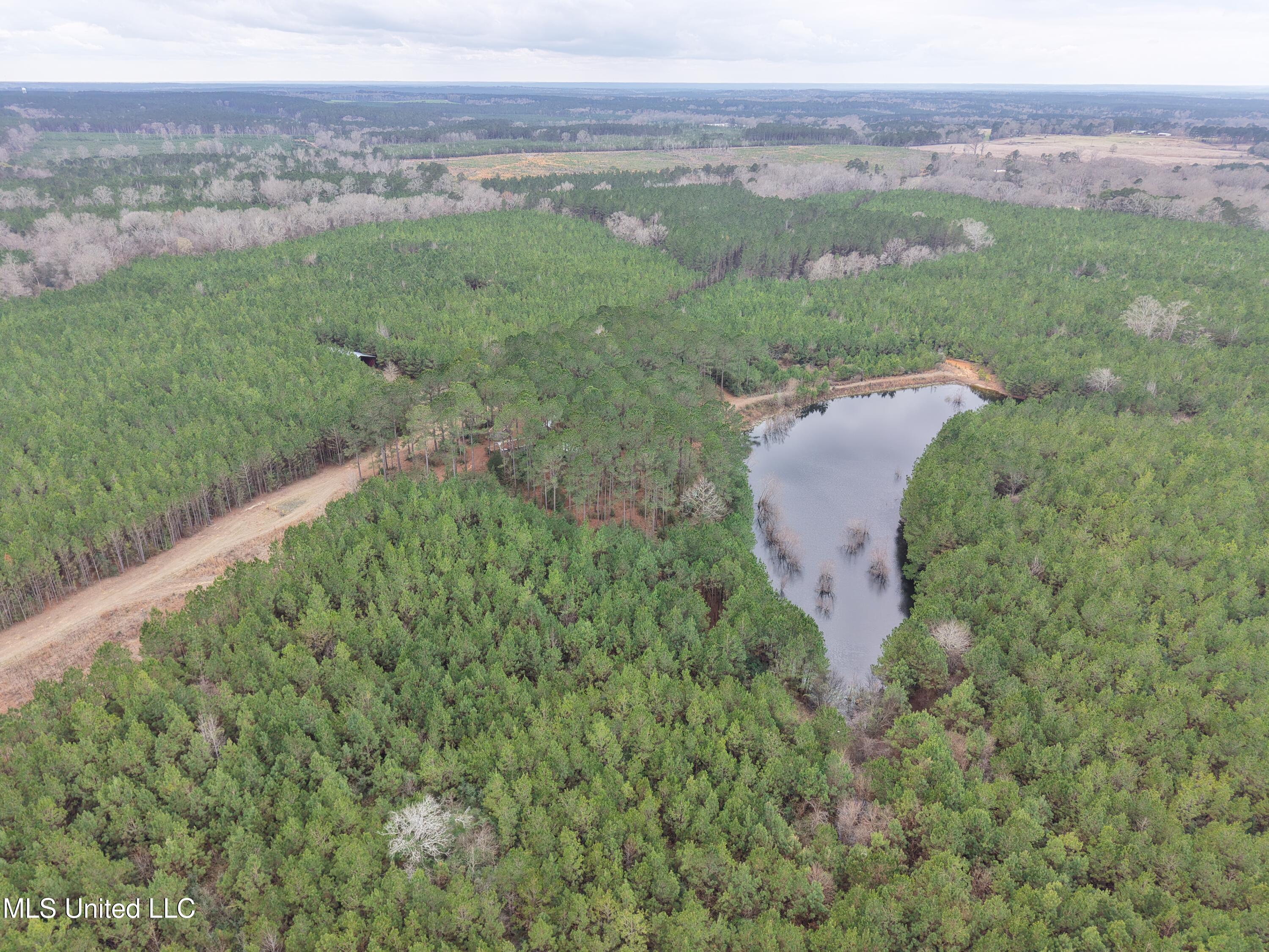 Dyess Road Carson, MS 39427 - Photo 19 of 35 dji_fly_20260218_120150_0085_17714518437