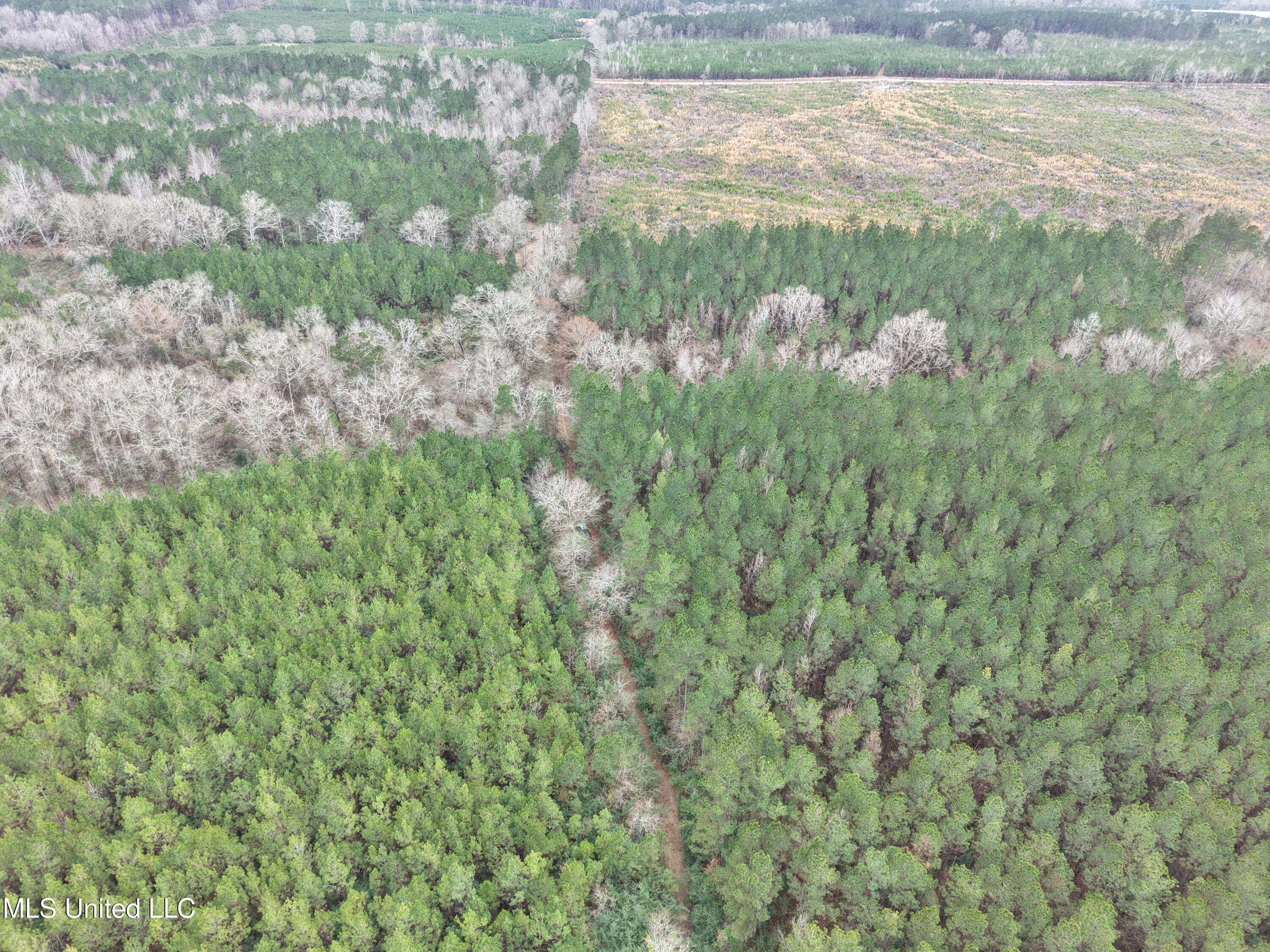 Dyess Road Carson, MS 39427 - Photo 20 of 35 dji_fly_20260218_120300_0086_17714518418
