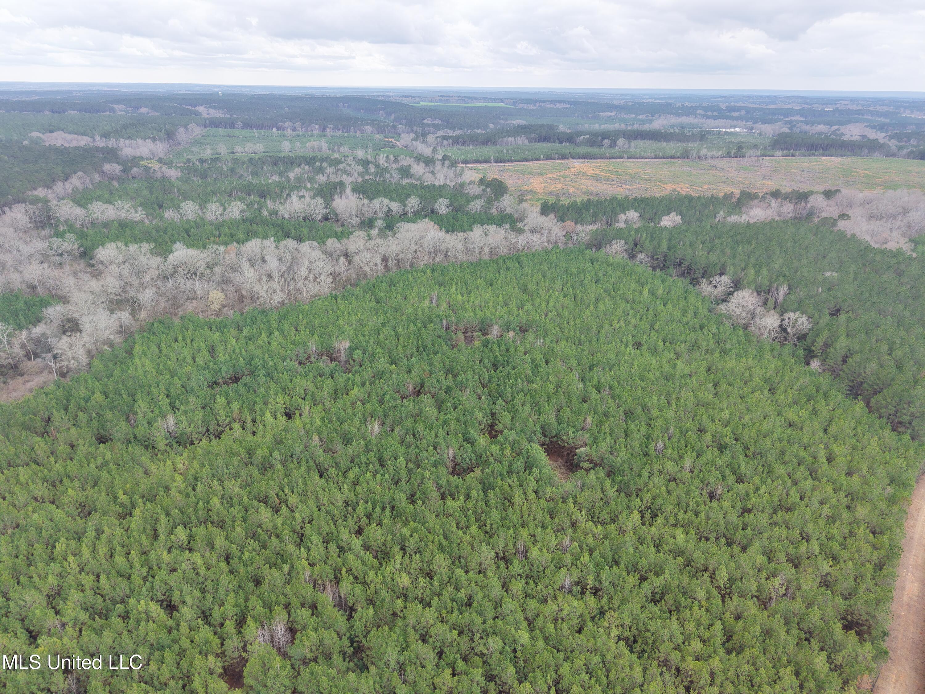 Dyess Road Carson, MS 39427 - Photo 2 of 35 dji_fly_20260218_114750_0065_17714518916