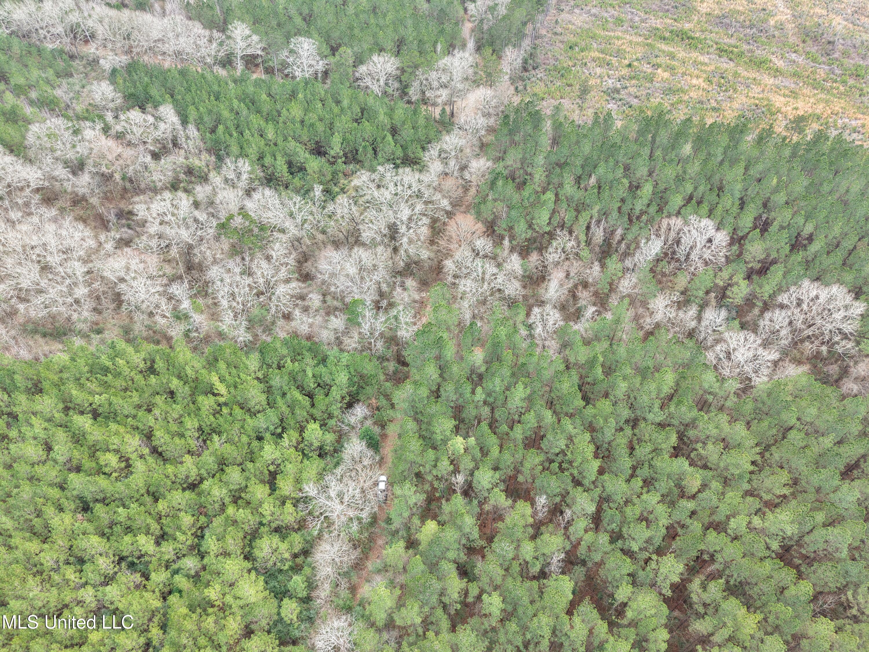 Dyess Road Carson, MS 39427 - Photo 21 of 35 dji_fly_20260218_120336_0087_17714518389