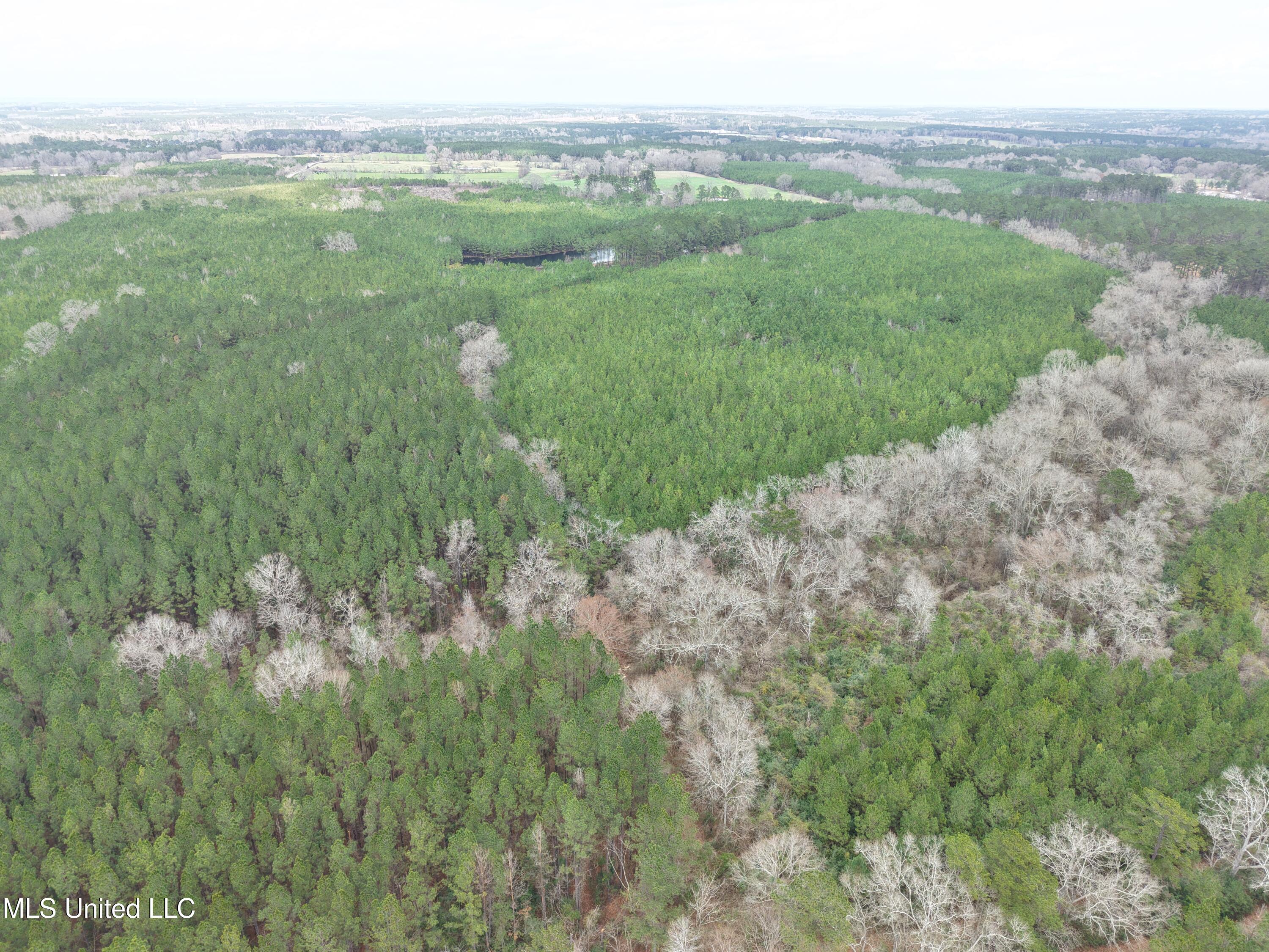 Dyess Road Carson, MS 39427 - Photo 22 of 35 dji_fly_20260218_120412_0088_17714518374