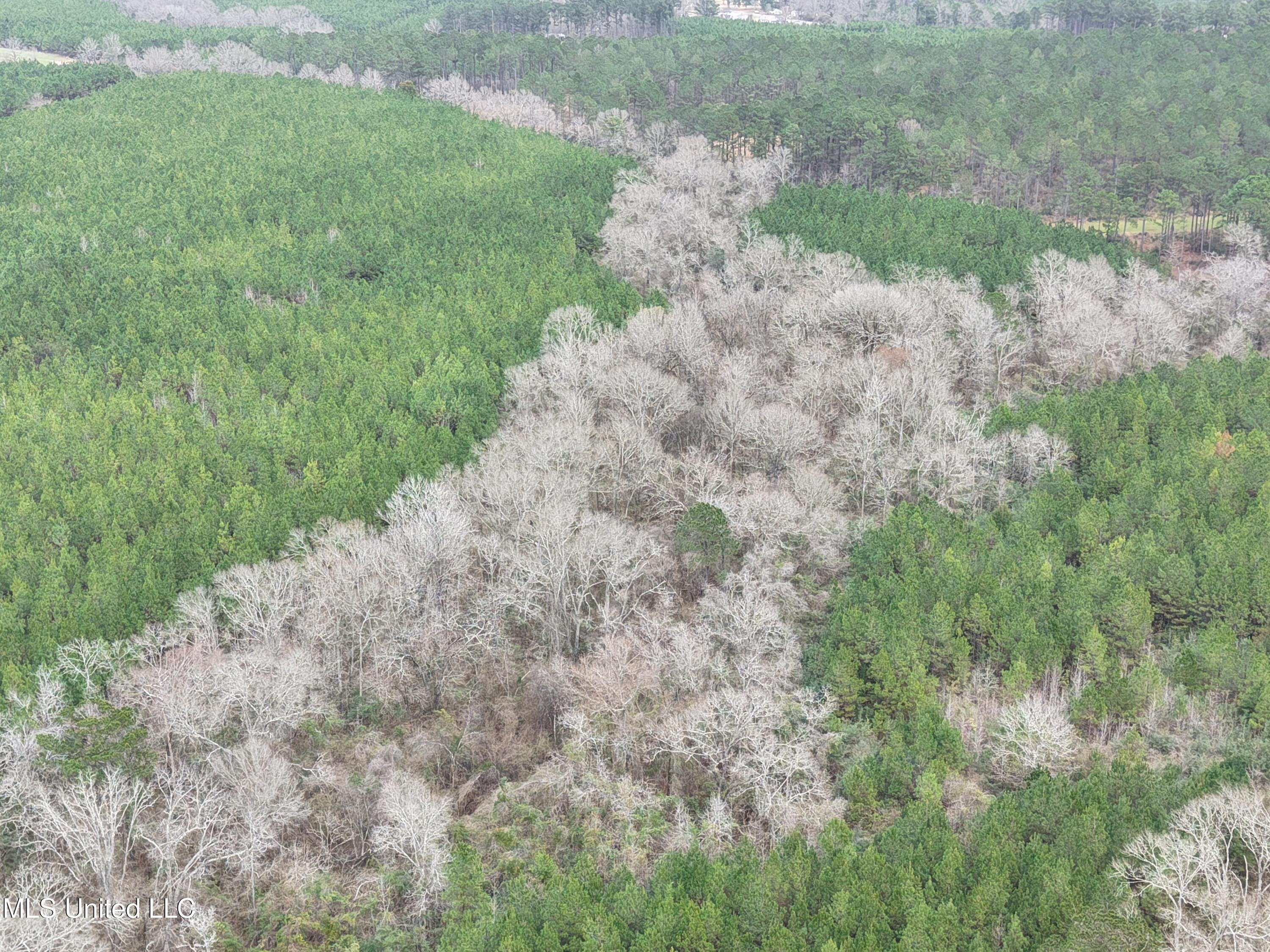 Dyess Road Carson, MS 39427 - Photo 23 of 35 dji_fly_20260218_120420_0089_17714518358