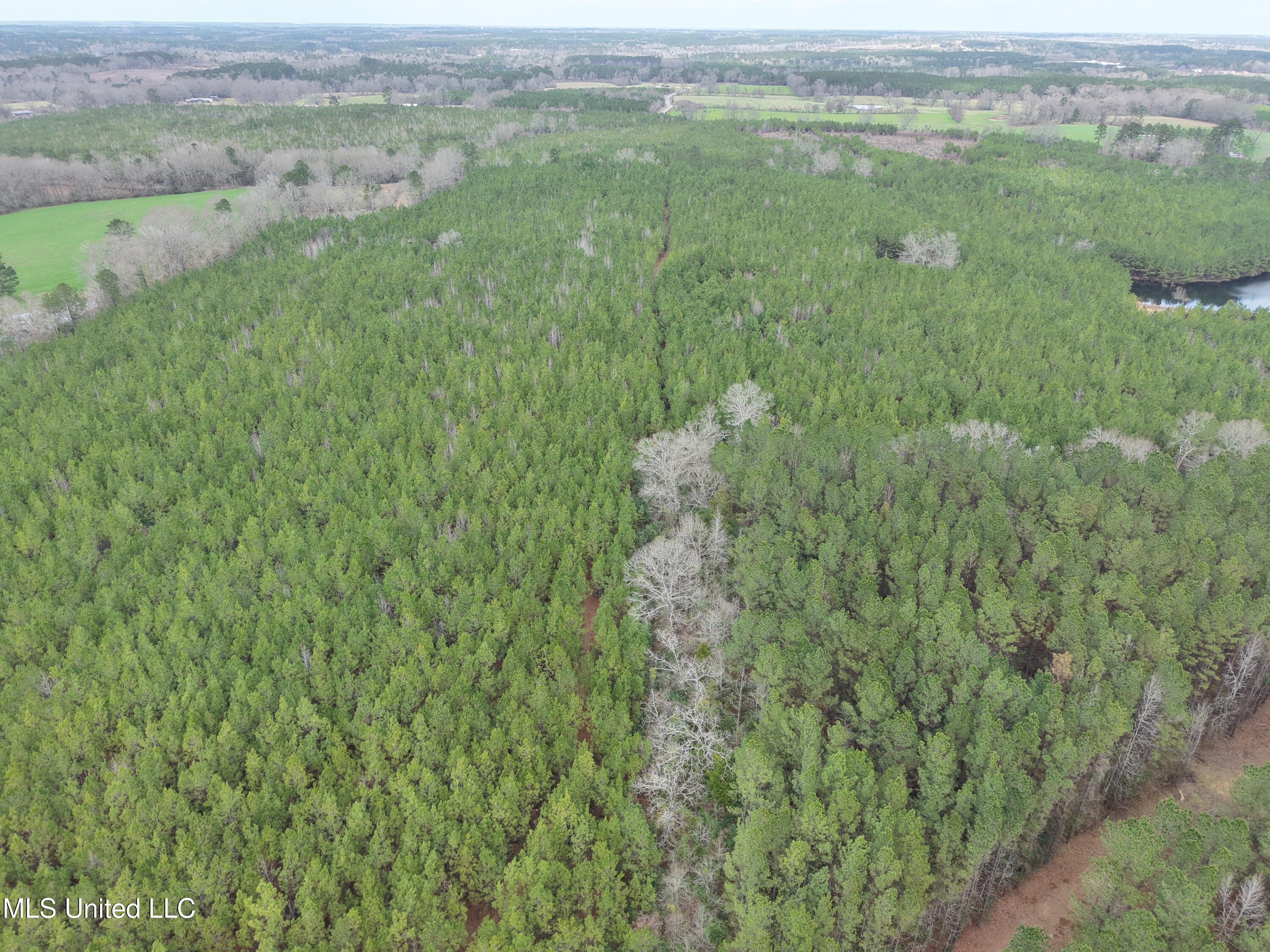 Dyess Road Carson, MS 39427 - Photo 25 of 35 dji_fly_20260218_120540_0091_17714518326