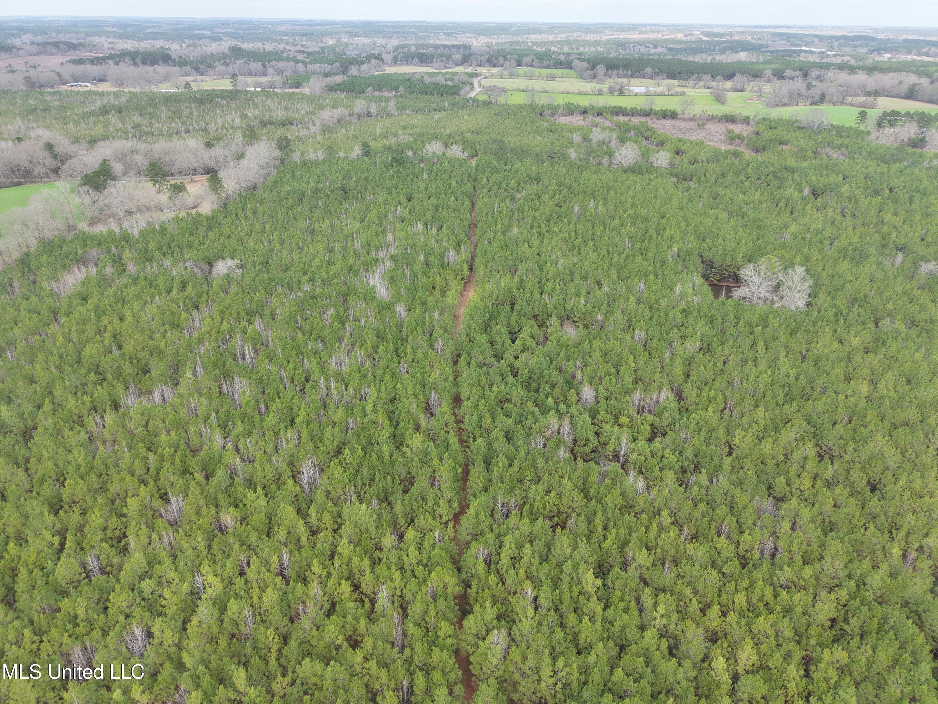 Dyess Road Carson, MS 39427 - Photo 26 of 35 dji_fly_20260218_120556_0092_17714518309