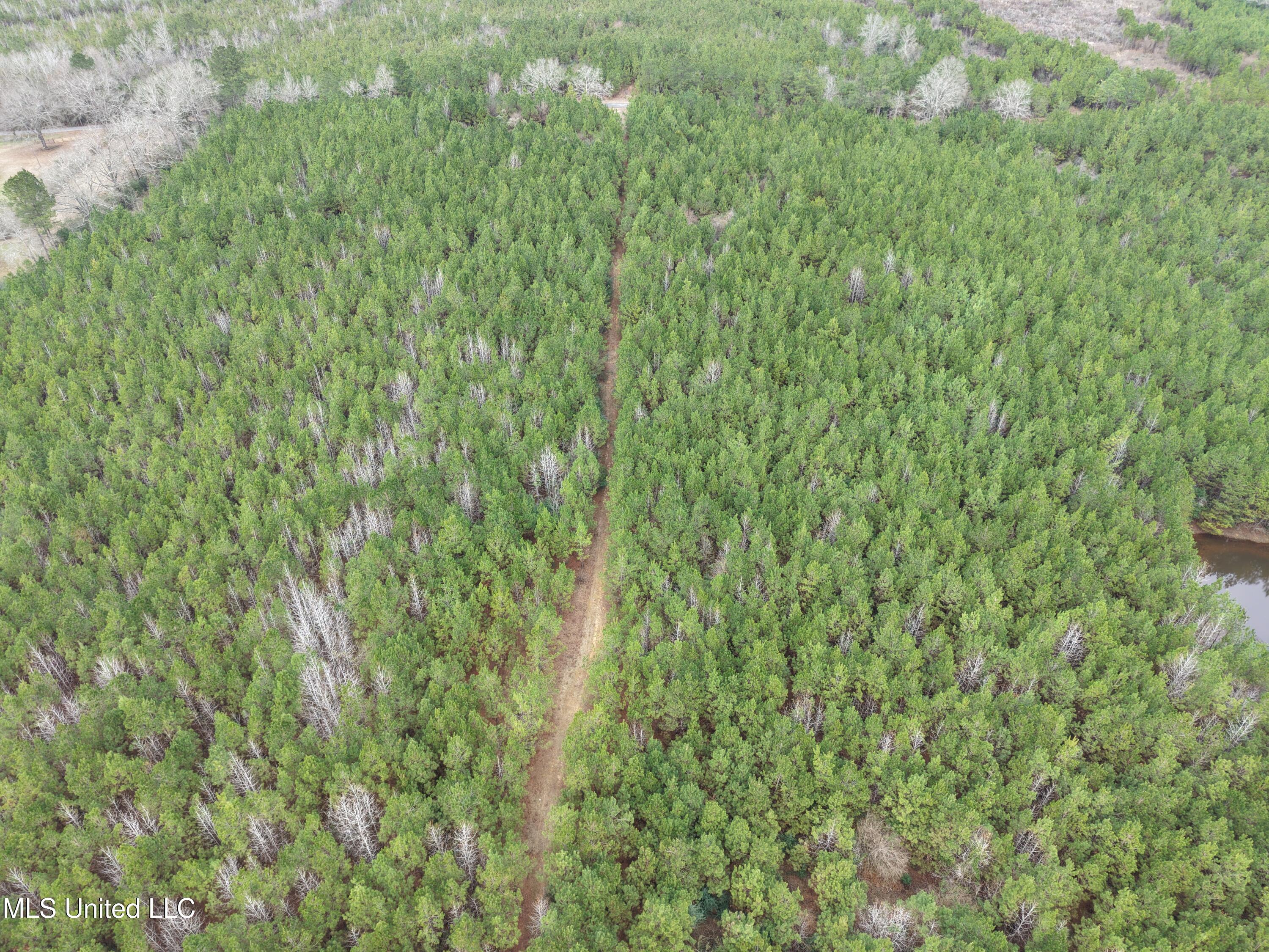 Dyess Road Carson, MS 39427 - Photo 28 of 35 dji_fly_20260218_120612_0094_17714518260