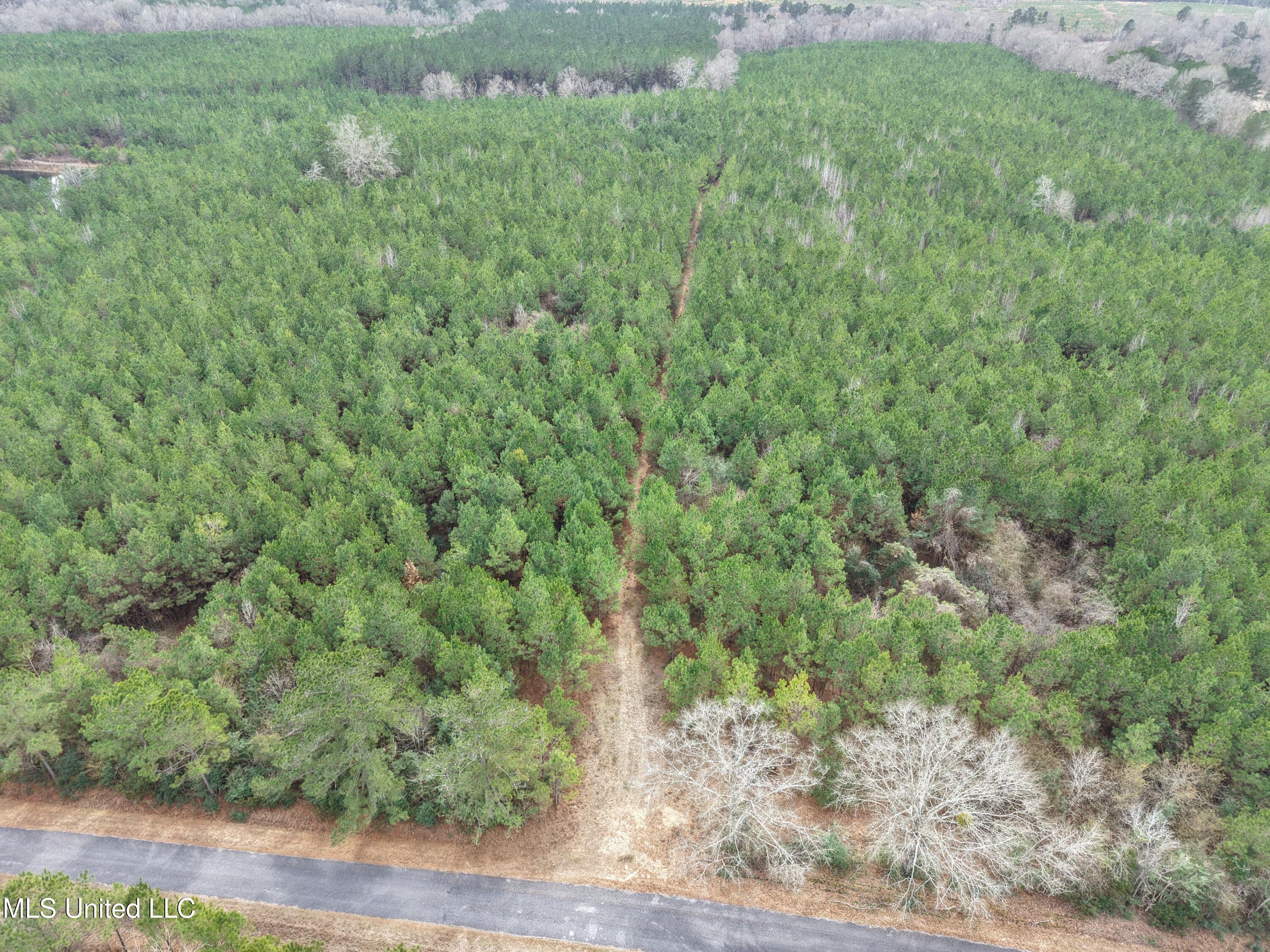 Dyess Road Carson, MS 39427 - Photo 29 of 35 dji_fly_20260218_120652_0095_17714518242